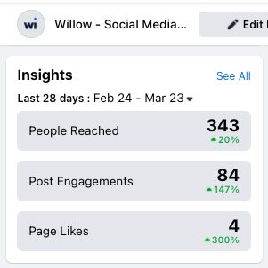 Facebook analytics