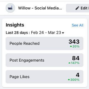 Facebook analytics