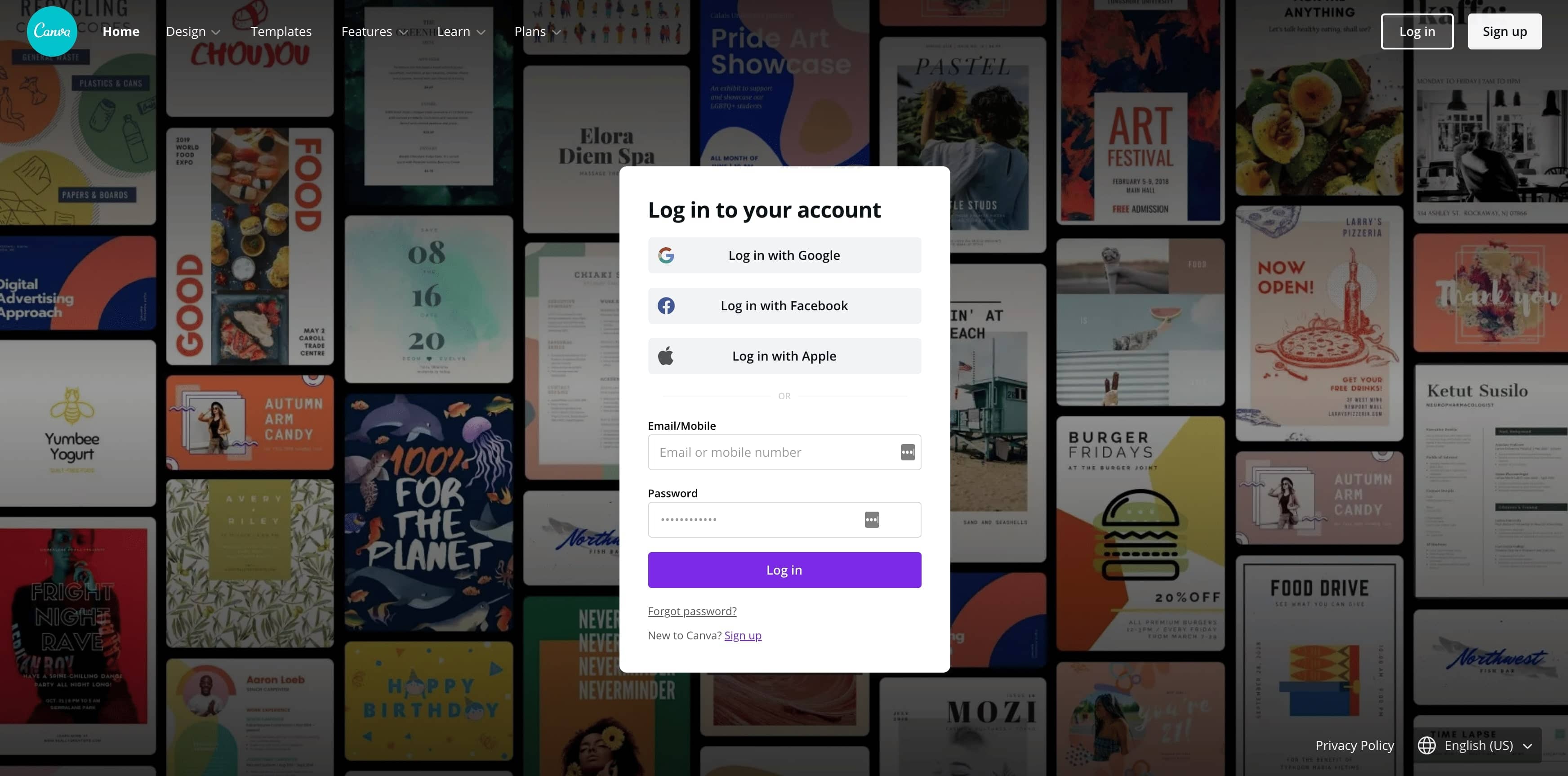 Canva Signup
